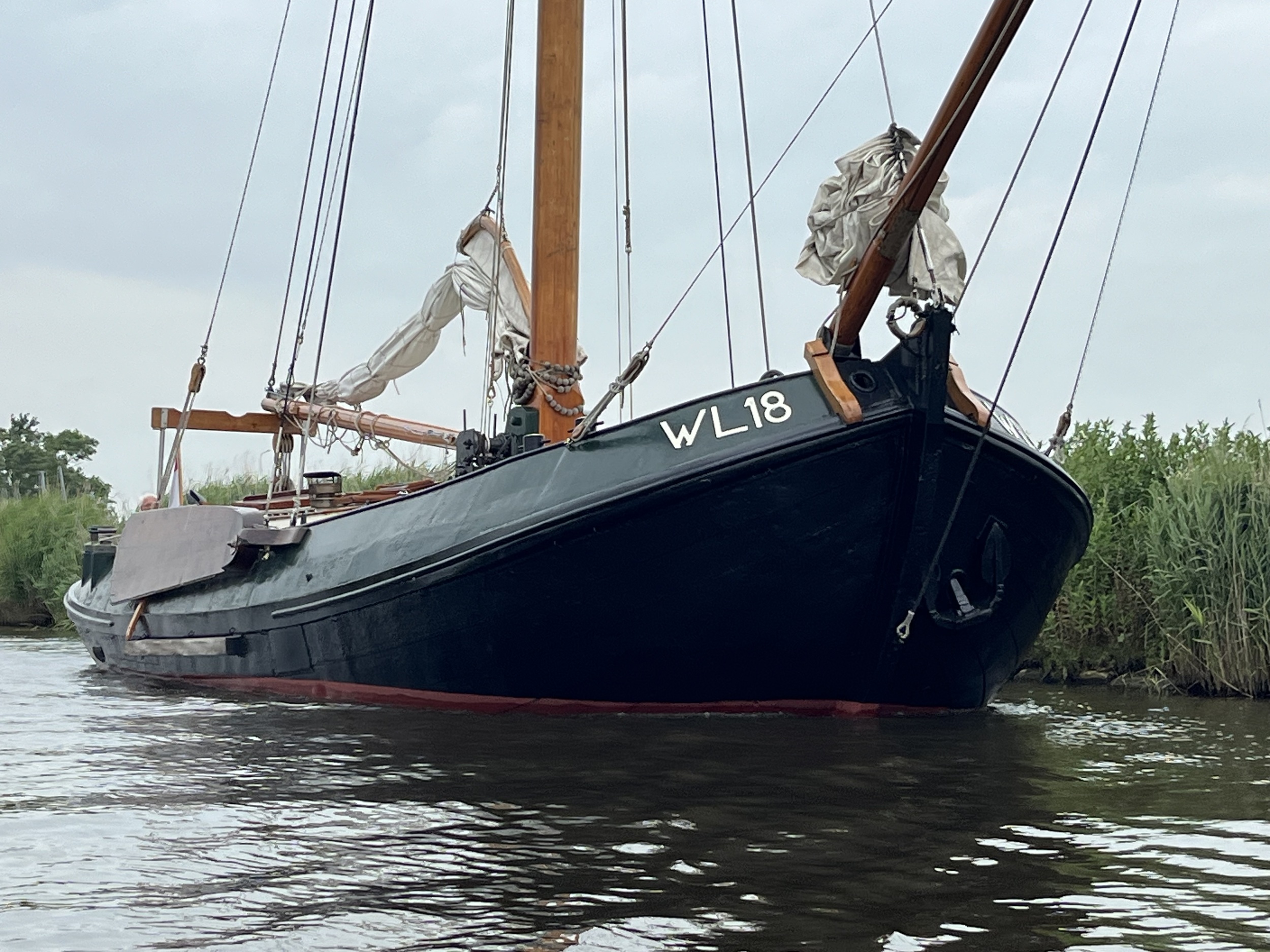 Lemsteraak WL 18 Fasant - Roefuitvoering Jachtuitvoering — foto 5 van 24