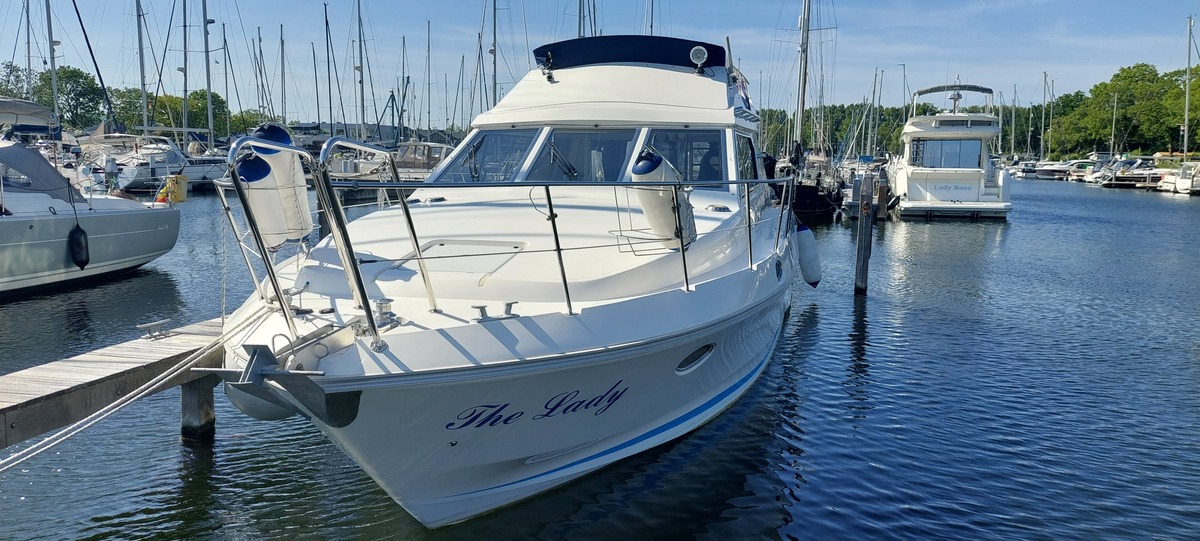 BIRCHWOOD TS410 — foto 23 van 30