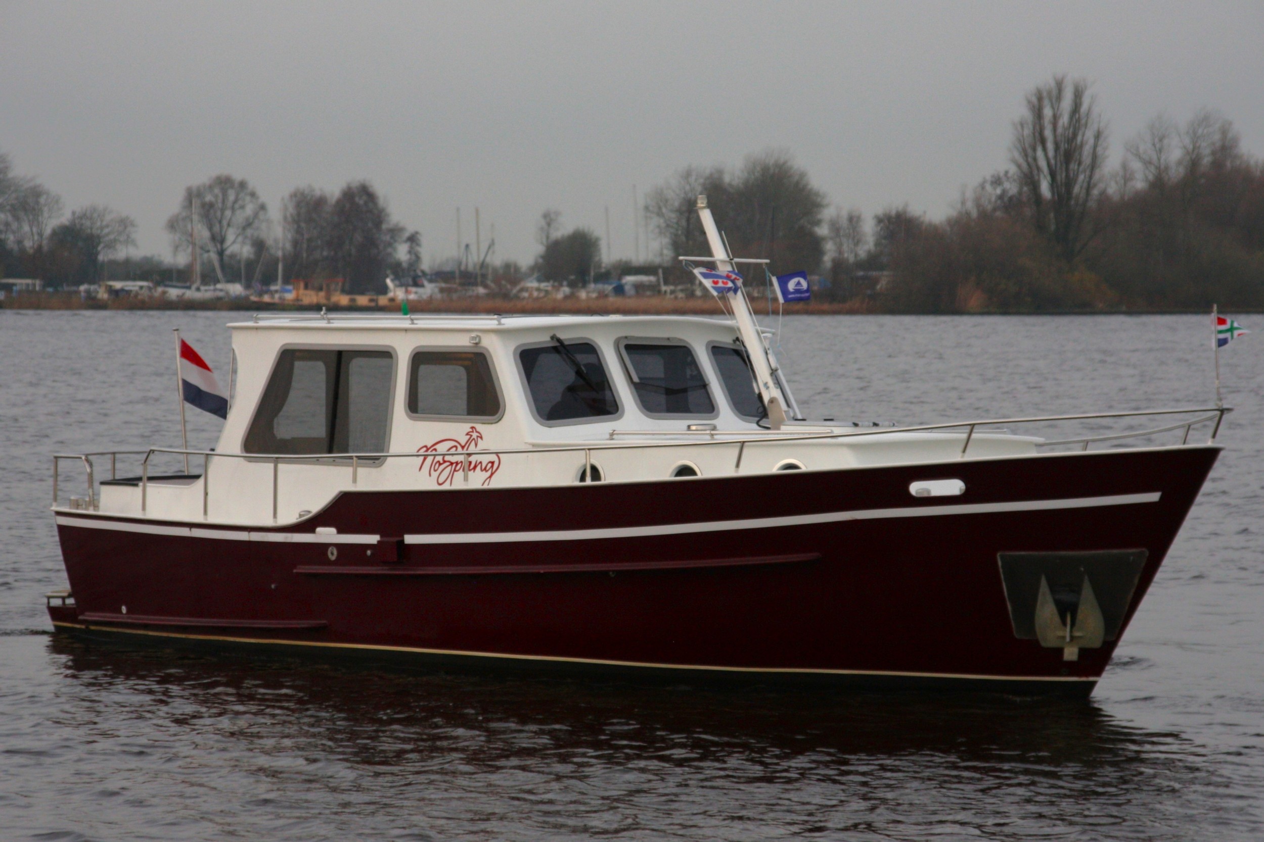 Burgemermeer 900 OK — foto 7 van 25