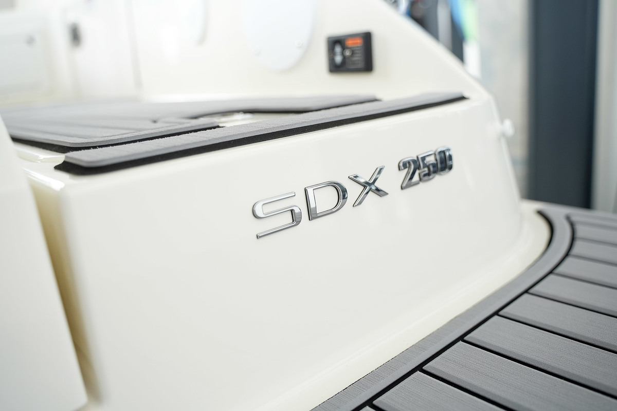 Sea Ray SDX 250 — foto 69 van 82
