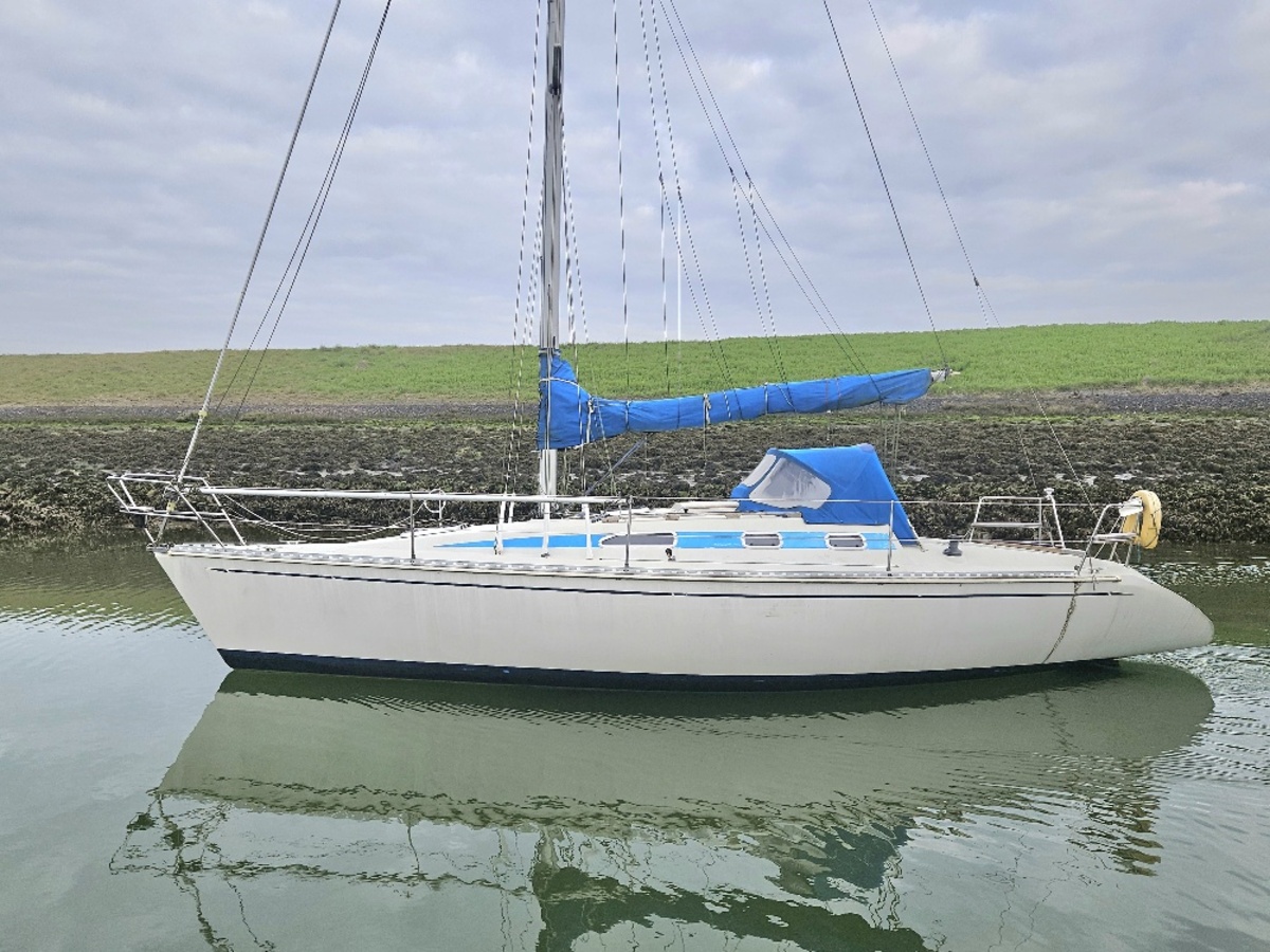 elan 33