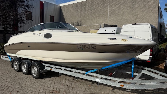 Sea ray — foto 2 van 16