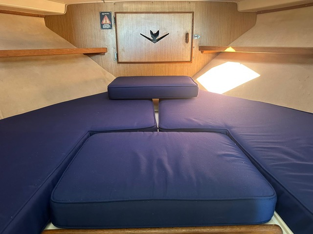 Bertram 28 Cruiser - BluYachting — foto 3 van 12