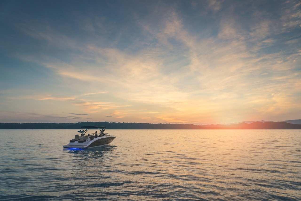 Sea Ray SDX 290 — foto 14 van 14