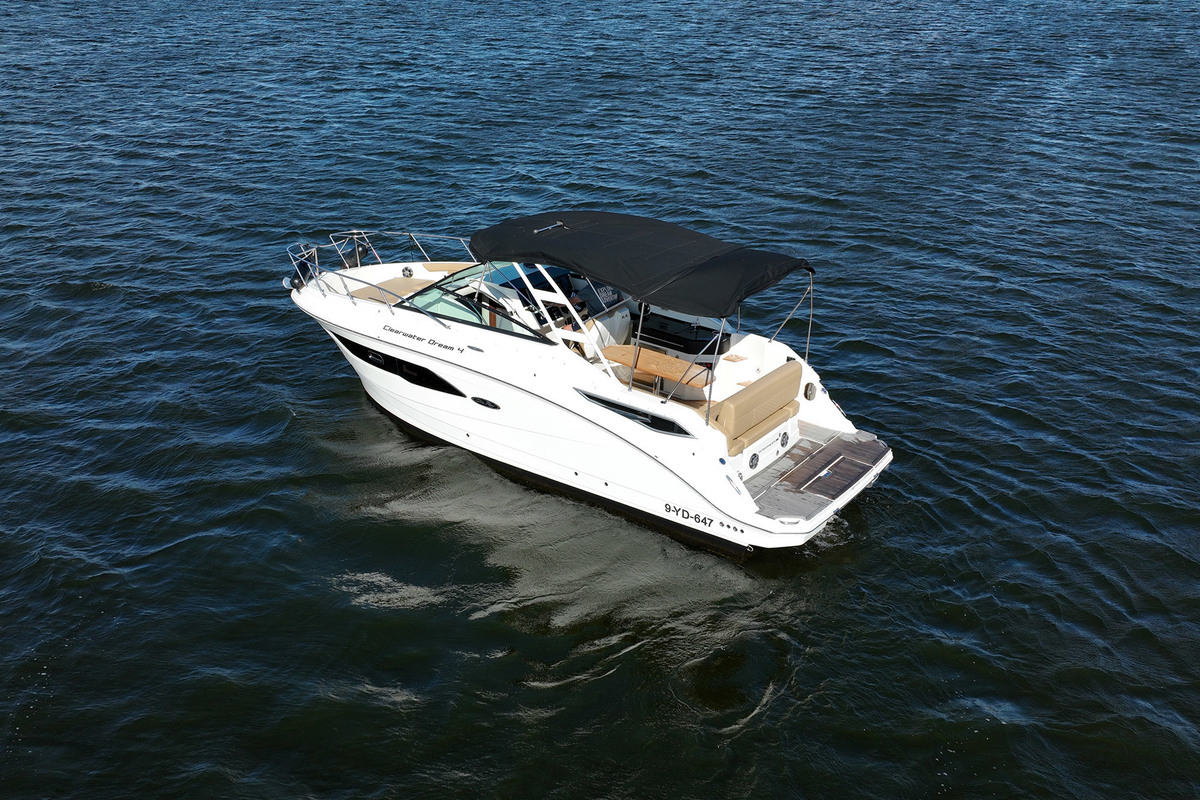 Sea Ray Sundancer 290 — foto 4 van 76