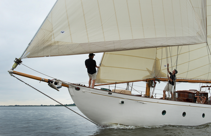 Cantiere Navale Postiglinio San Domenico — foto 5 van 73