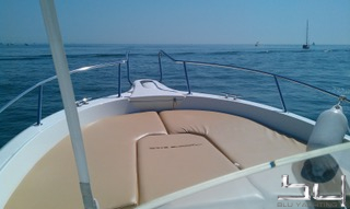 White Shark 246 - BluYachting — foto 3 van 11