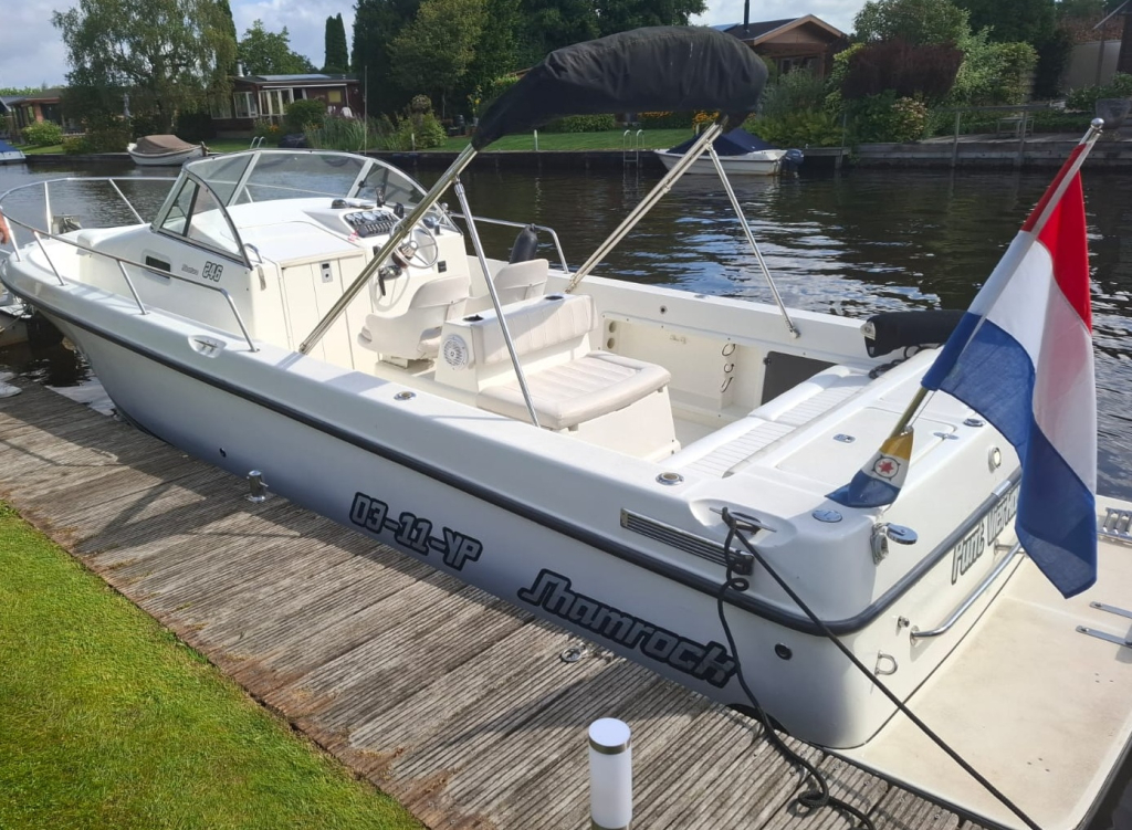 Shamrock 246 Adventure Kajuitboot