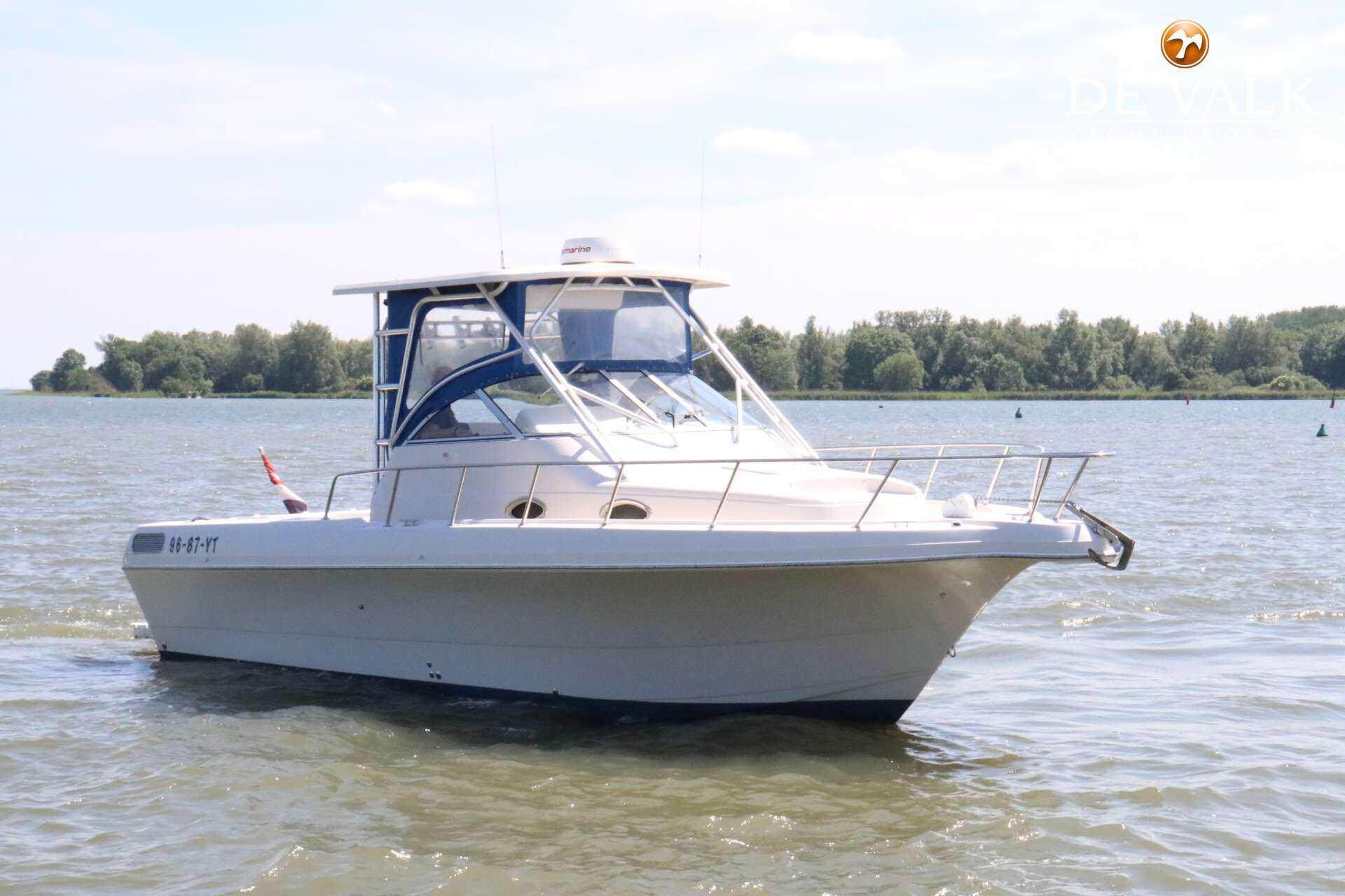 Pro Line29 Walkaround Mid Cabin