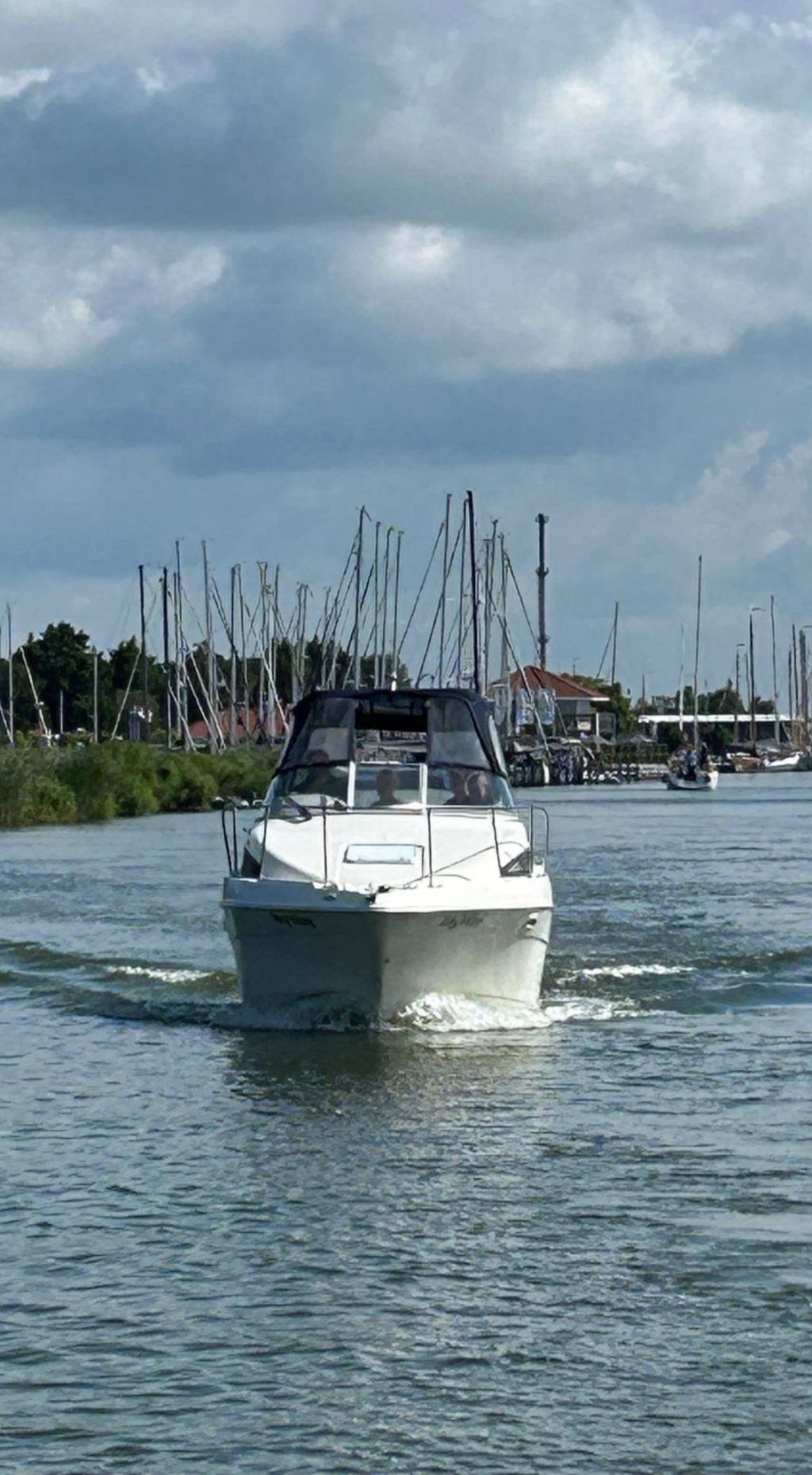 Bayliner 2355 — foto 8 van 20