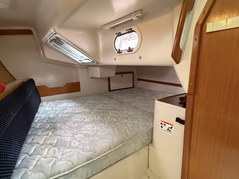 Catalina 320 — foto 5 van 43