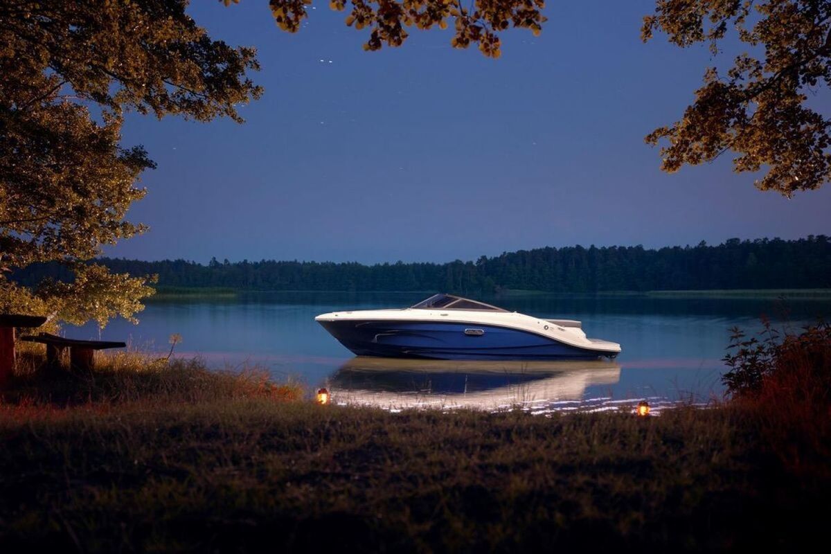 Sea Ray SPX 190 Nieuw Model — foto 17 van 29