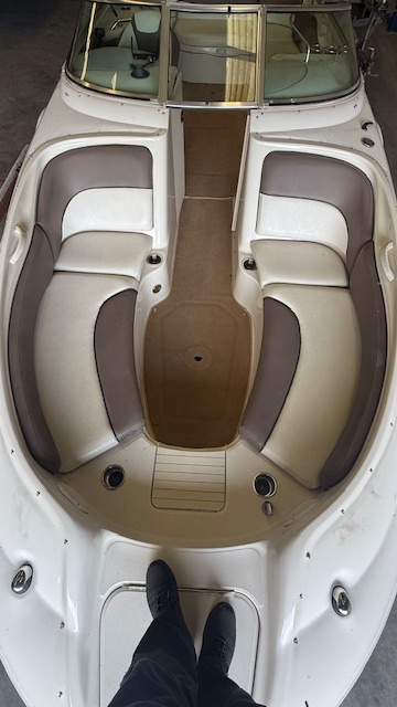 Sea ray — foto 7 van 16