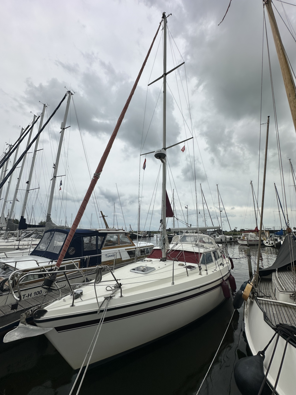 Moody  Eclipse 33 — foto 6 van 32
