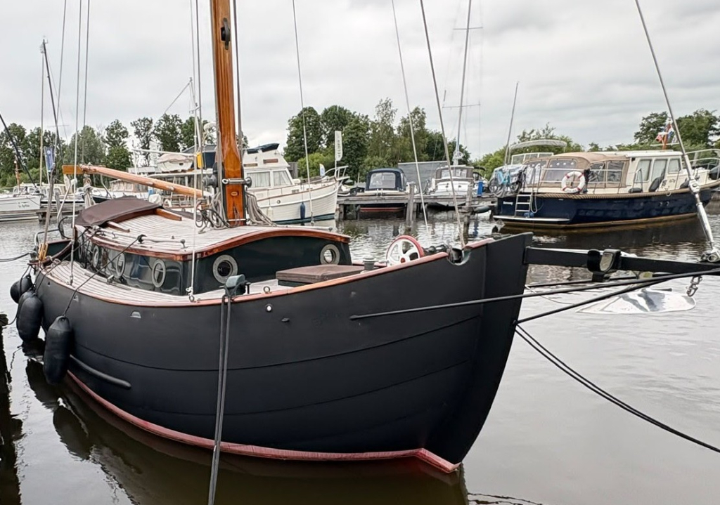 Sardijn - Staverse Jol 8.00m.  v. Rijnsoever — foto 2 van 13