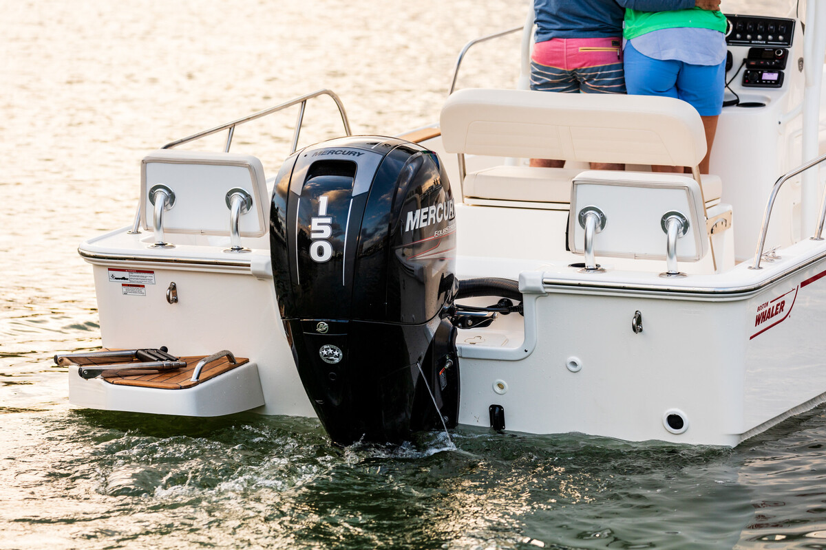 Boston Whaler 190 Montauk — foto 13 van 17