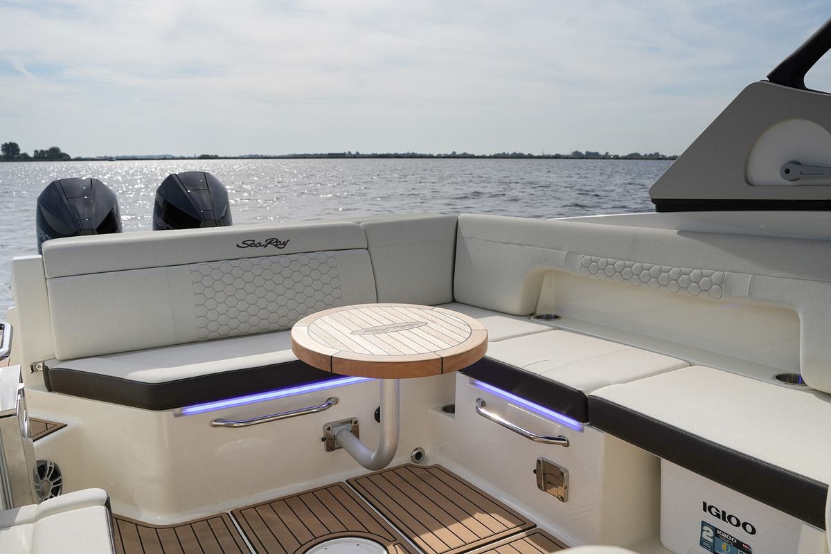 Sea Ray SDX 290 Outboard — foto 46 van 51