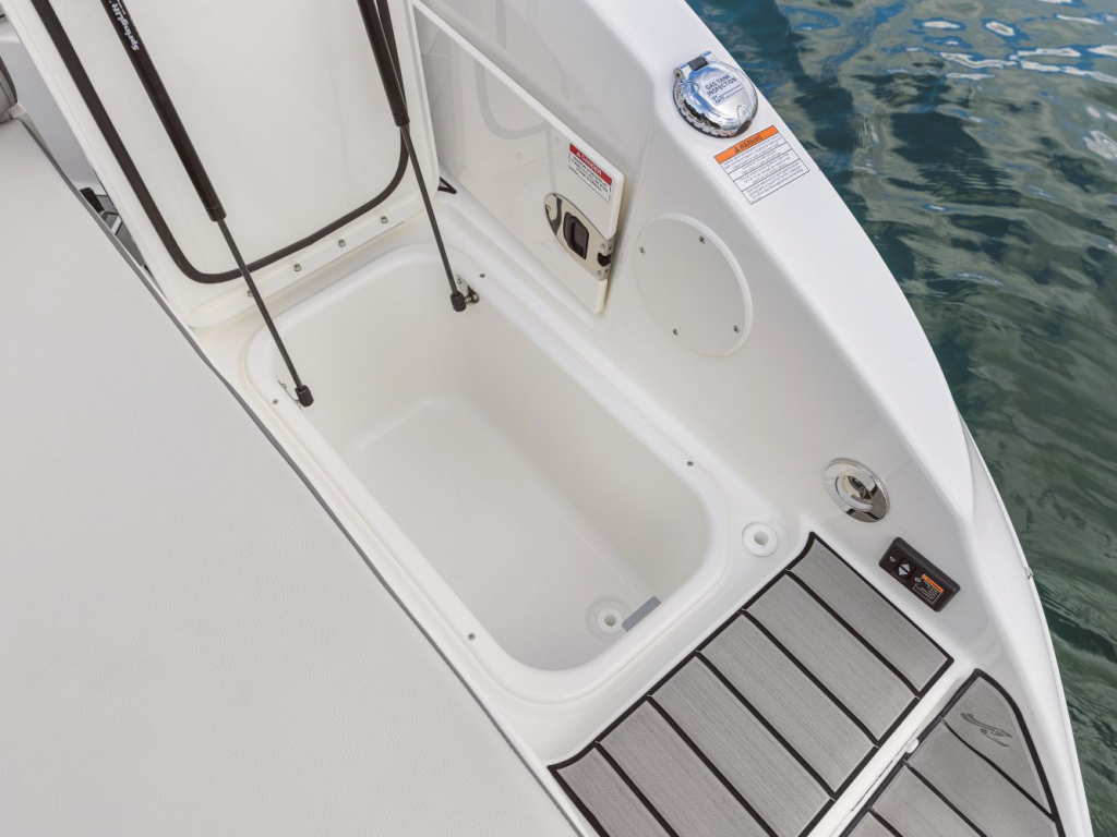 Sea Ray SDX 250 — foto 9 van 28