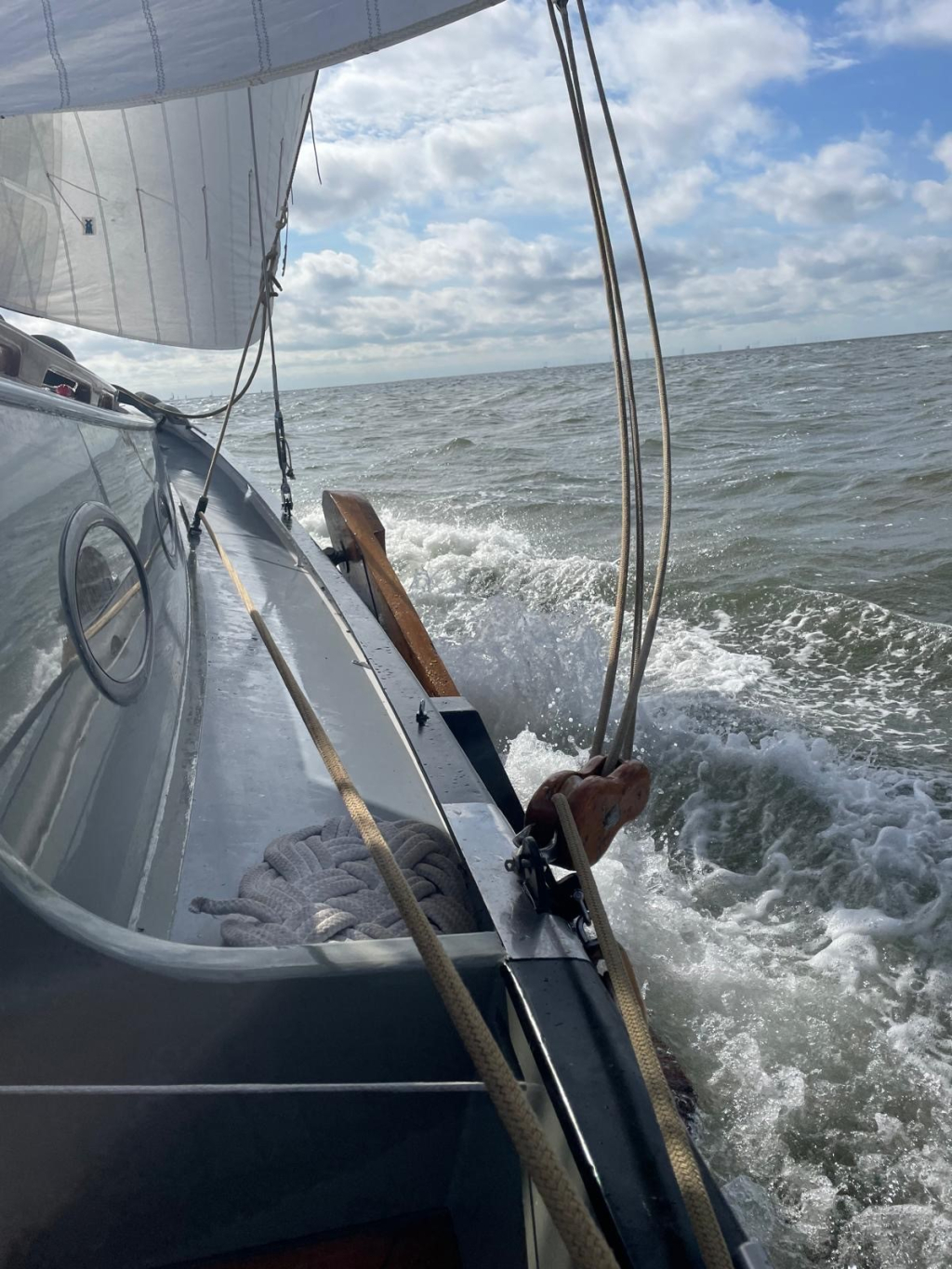 Lemsteraak Blom 1120 - Roefmodel - Wetterlelie — foto 68 van 68