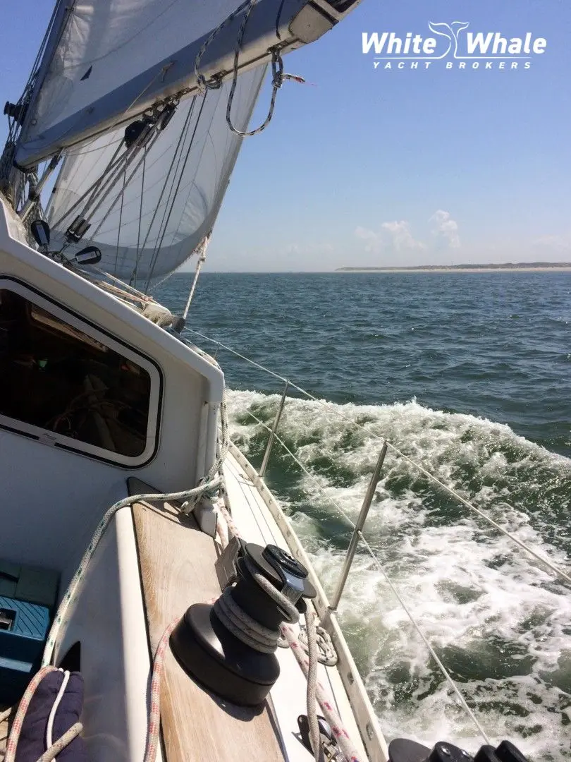 Northern Comfort 43 — foto 5 van 30