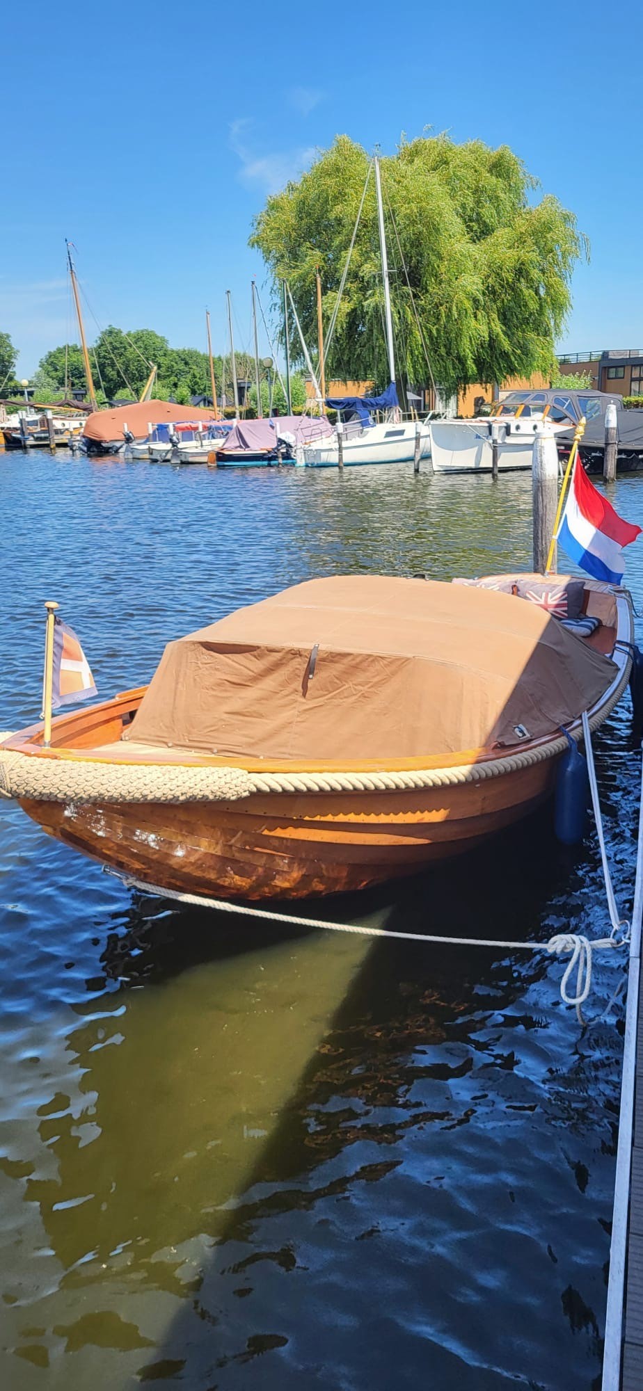 Schalk Vlet — foto 7 van 10