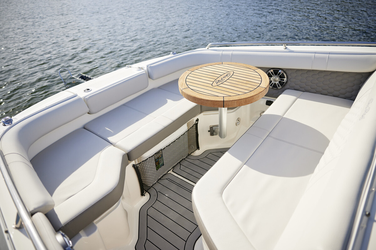 Sea Ray SDX 250 — foto 10 van 82