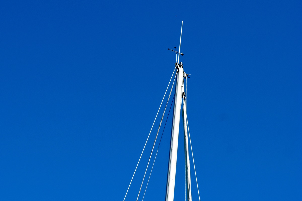 Spirit 37 — foto 74 van 74