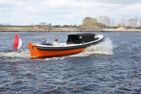 Silverfish RF 6 — foto 3 van 3