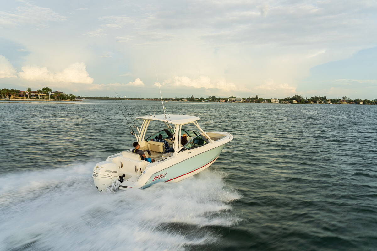 Boston Whaler 240 Vantage — foto 12 van 13