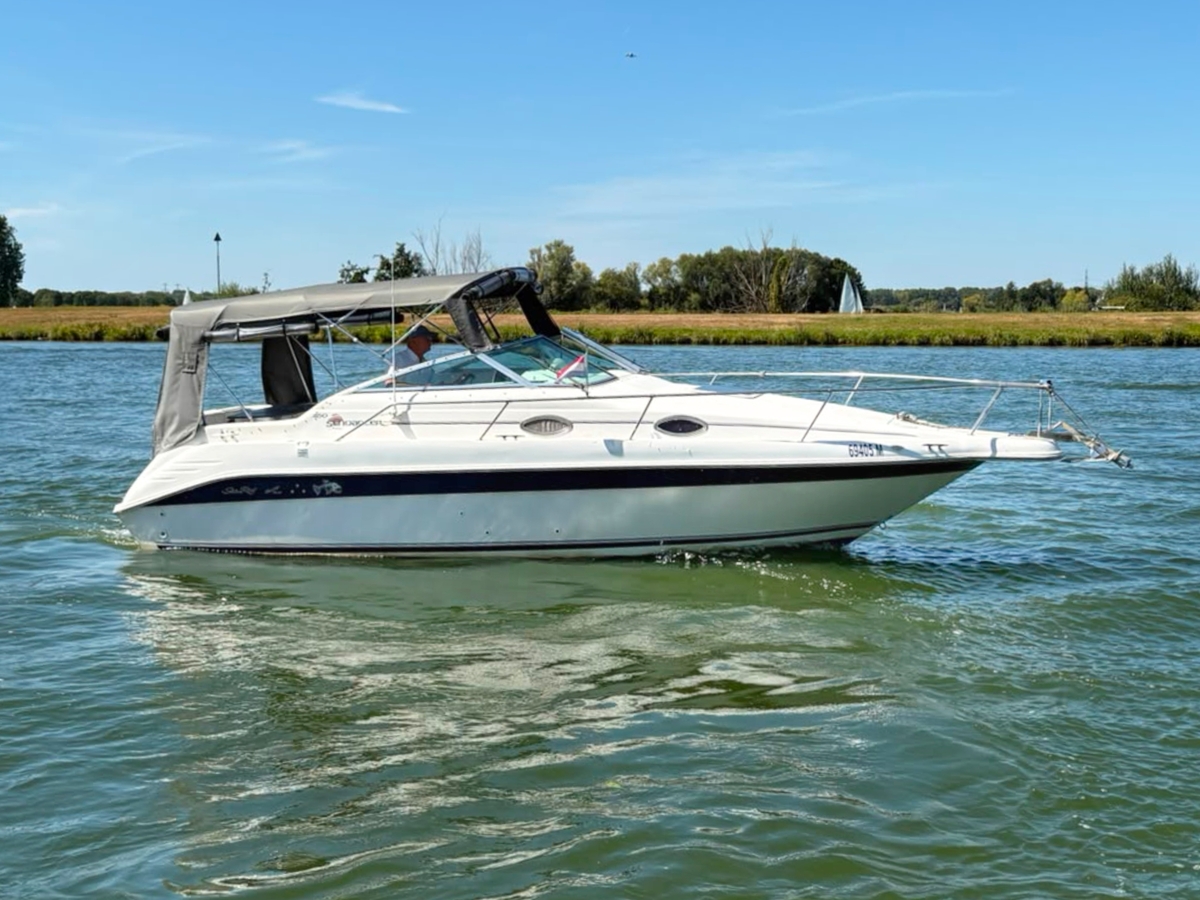 Sea Ray 250 Sundancer — foto 1 van 19