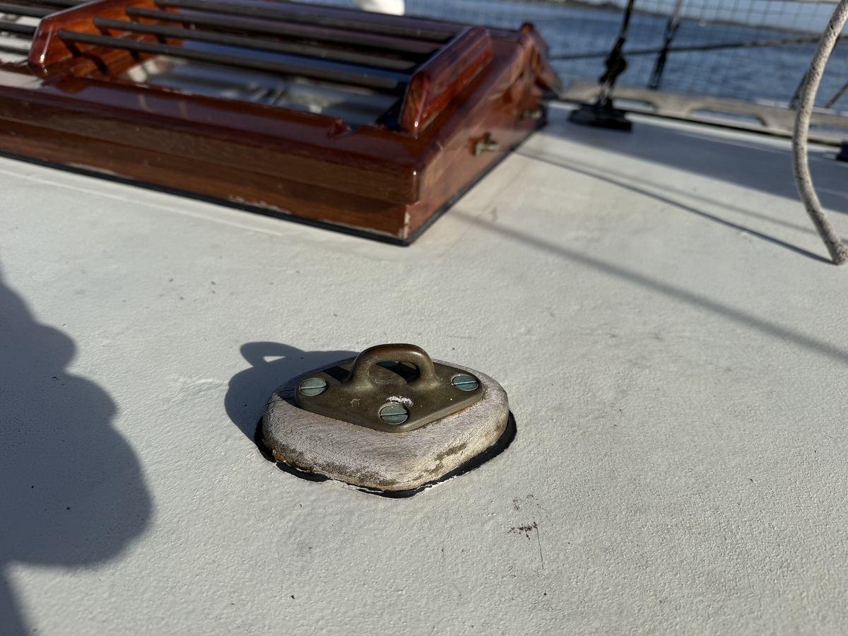 ORCA 38 — foto 51 van 74