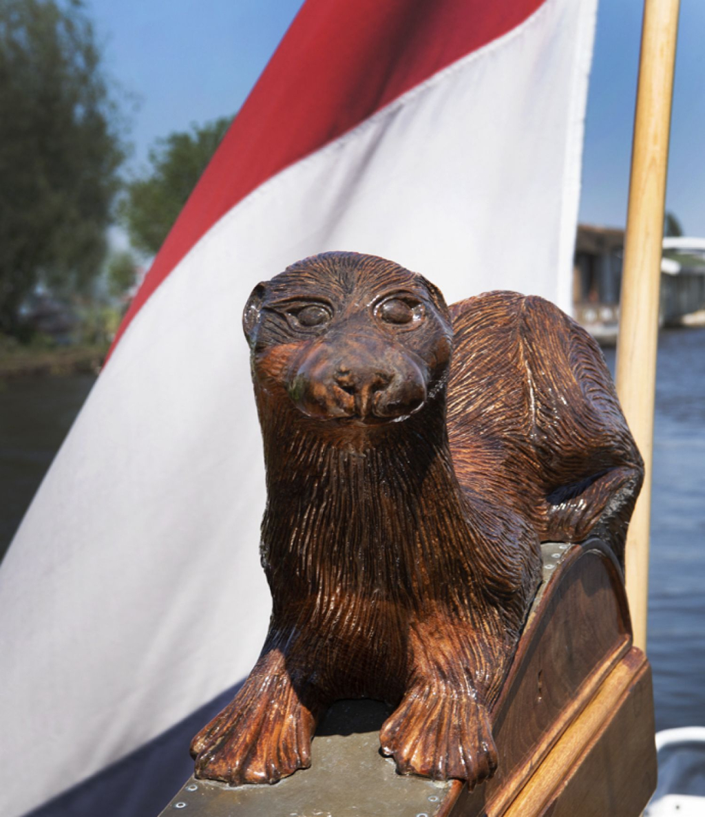 Lemsteraak Roefaak - Otter — foto 39 van 51
