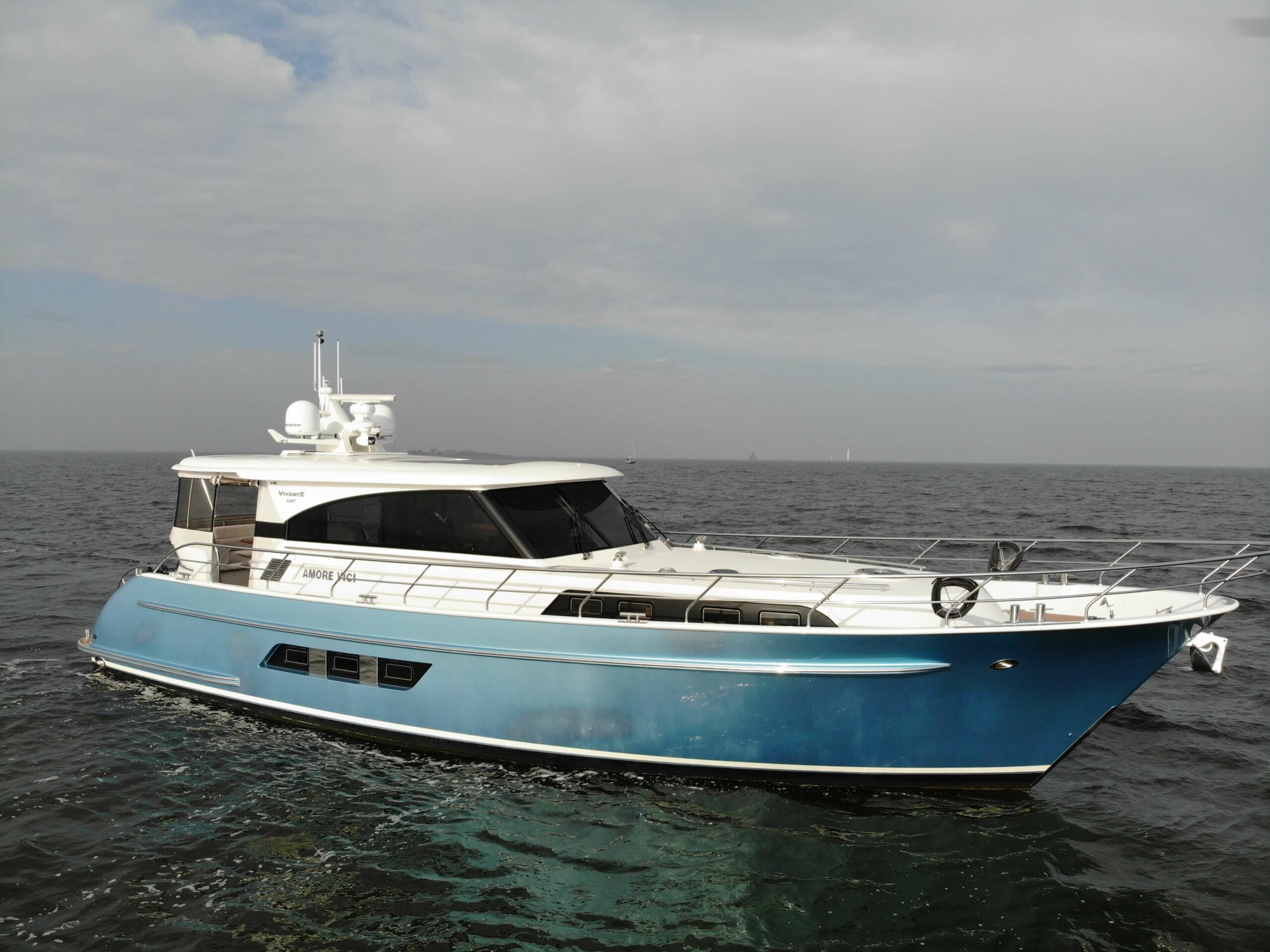 Vivante55 HT
