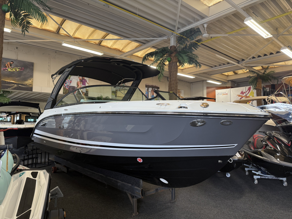 Sea Ray SDX 250 Outboard — foto 4 van 31
