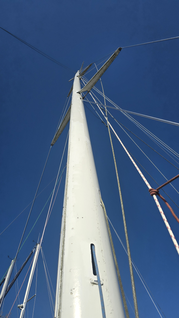 America's Cup 12M — foto 26 van 33