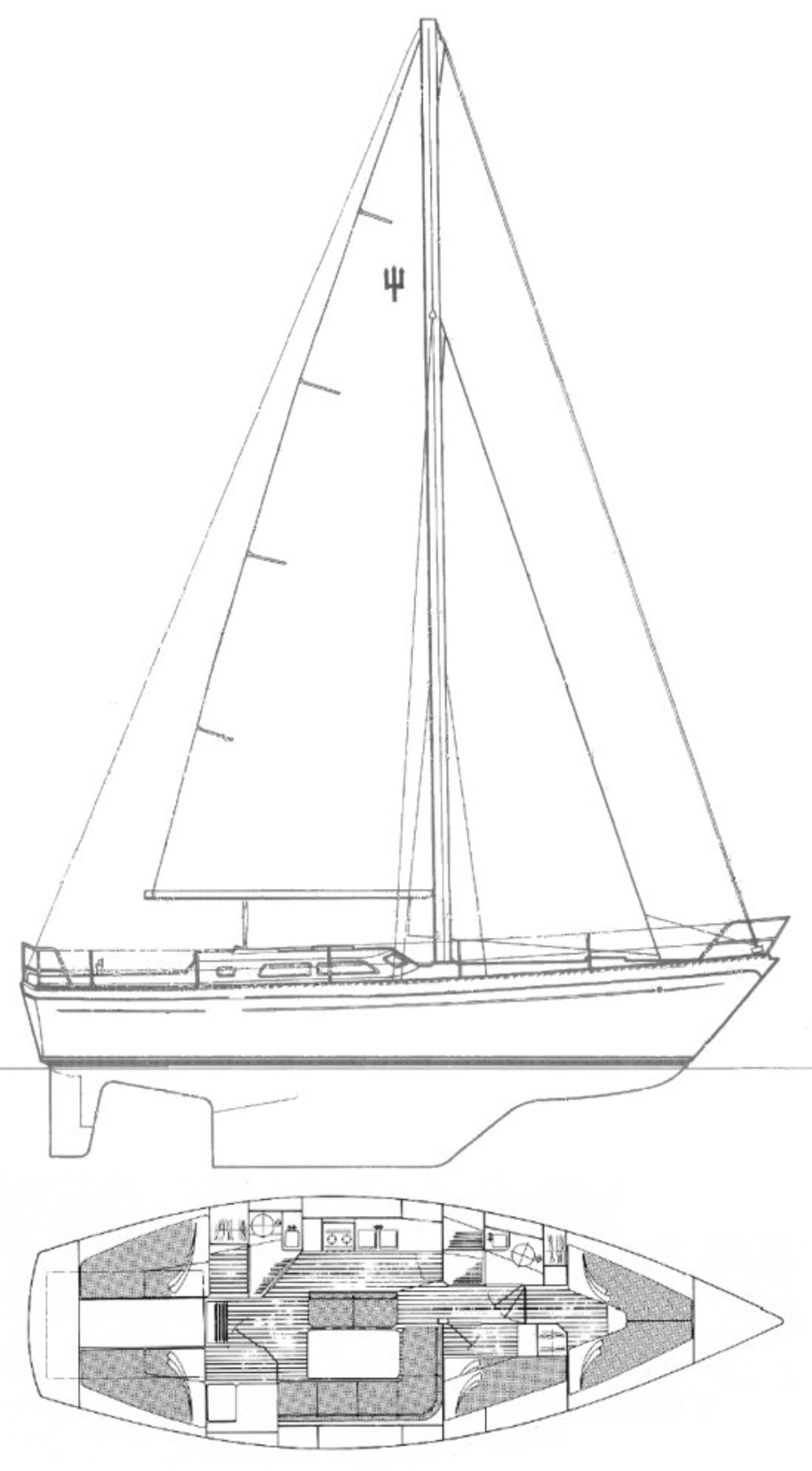 Trident Marine Warrior 38 — foto 2 van 30