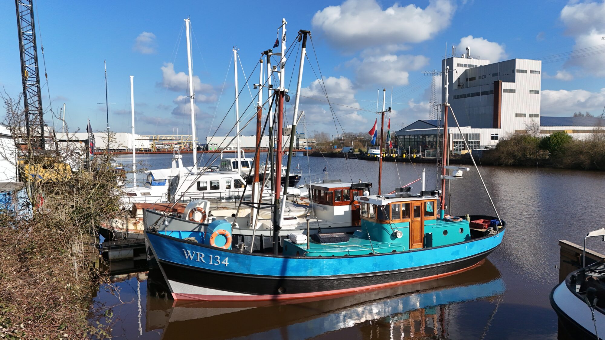 Noordzeekotter ‘WR 134’ — foto 6 van 42