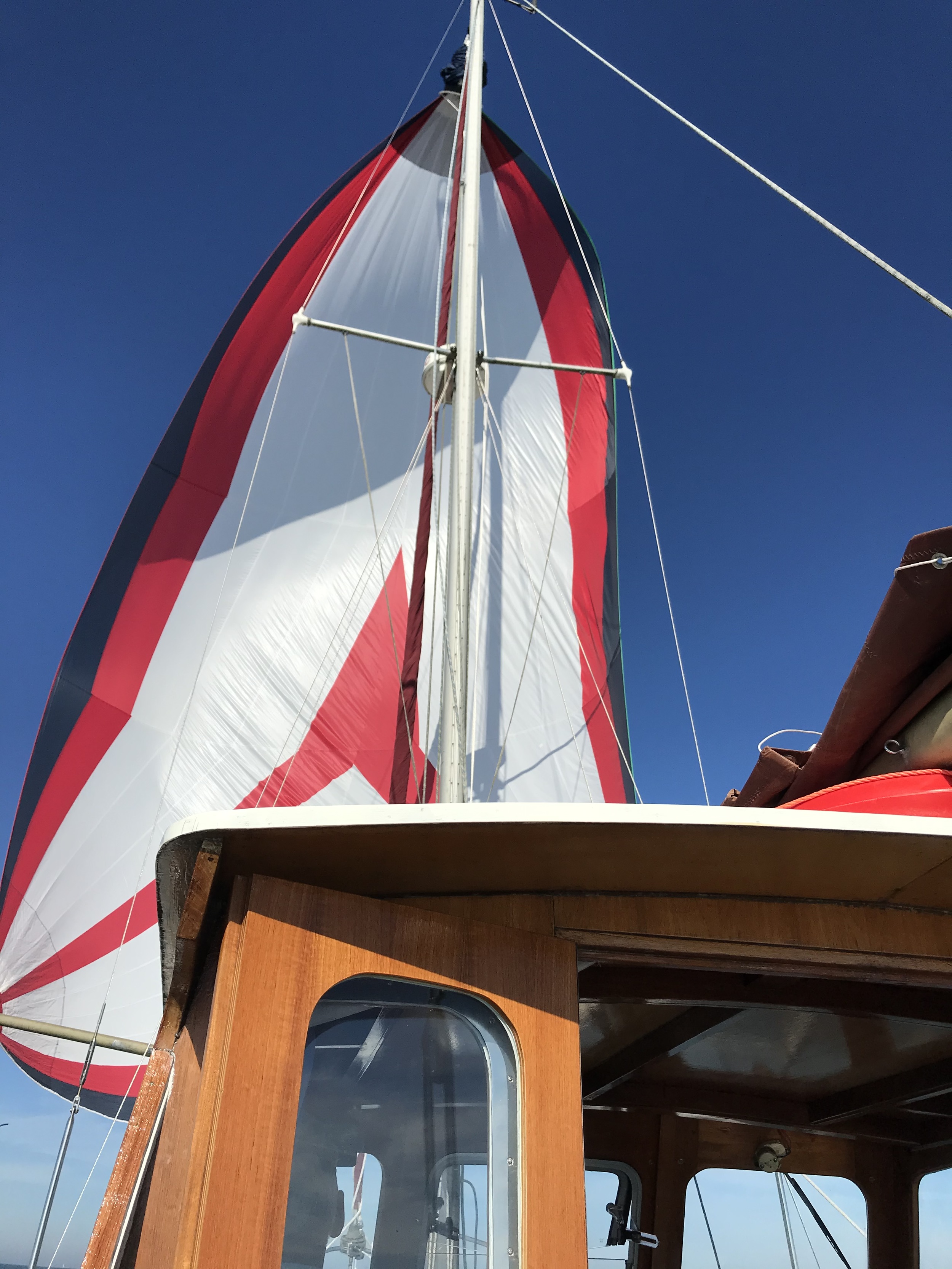 Colvic Watson 28.6 Avonturier — foto 5 van 74