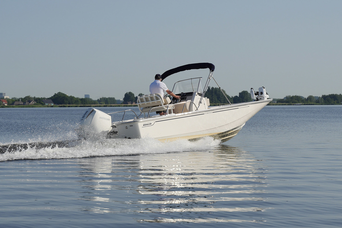 Boston Whaler 210 Montauk — foto 7 van 50