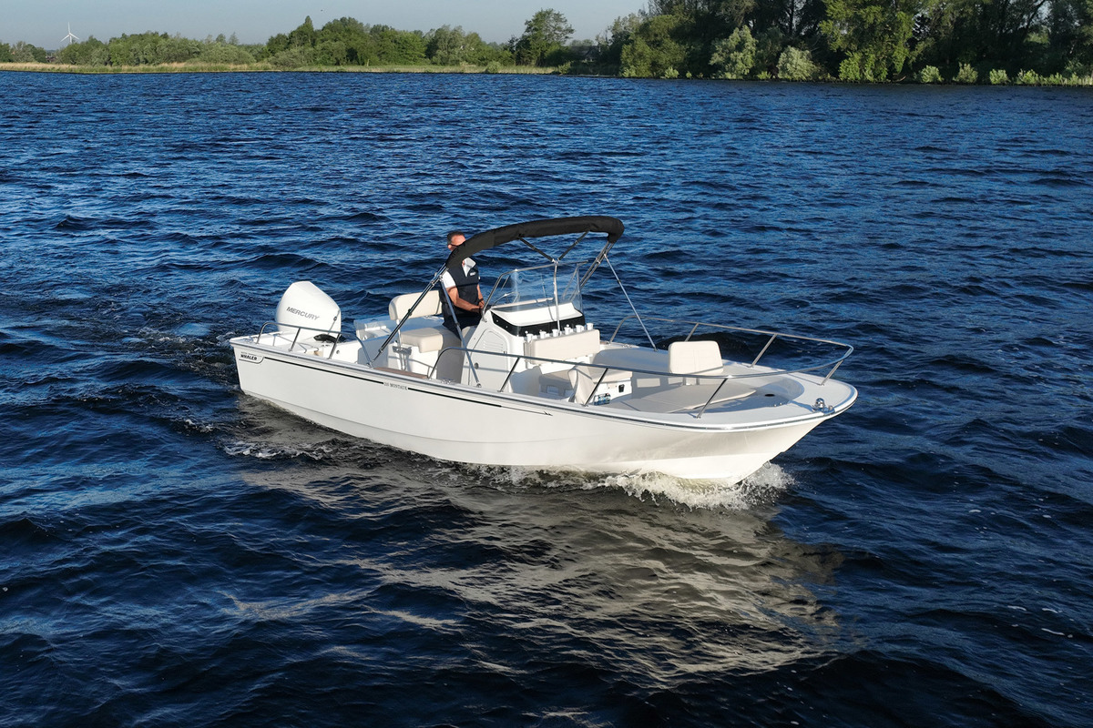 Boston Whaler 210 Montauk — foto 5 van 28
