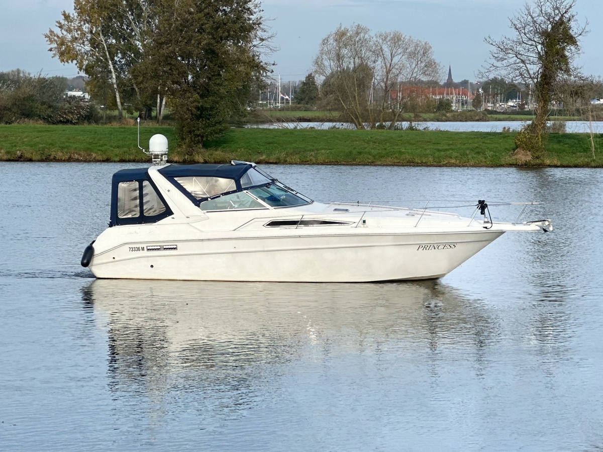 Sea Ray 310 Sundancer — foto 1 van 49
