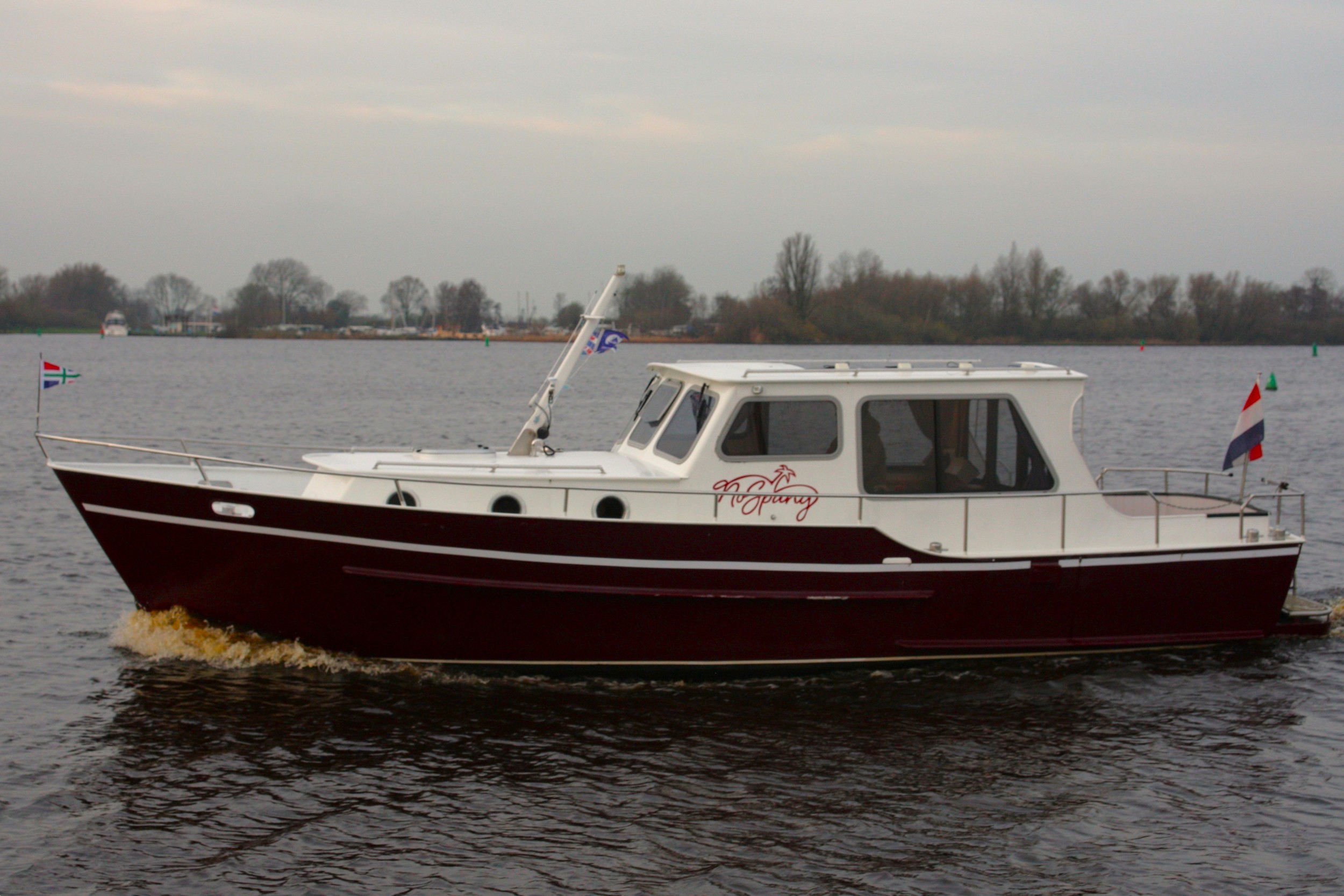 Burgemermeer 900 OK — foto 2 van 25