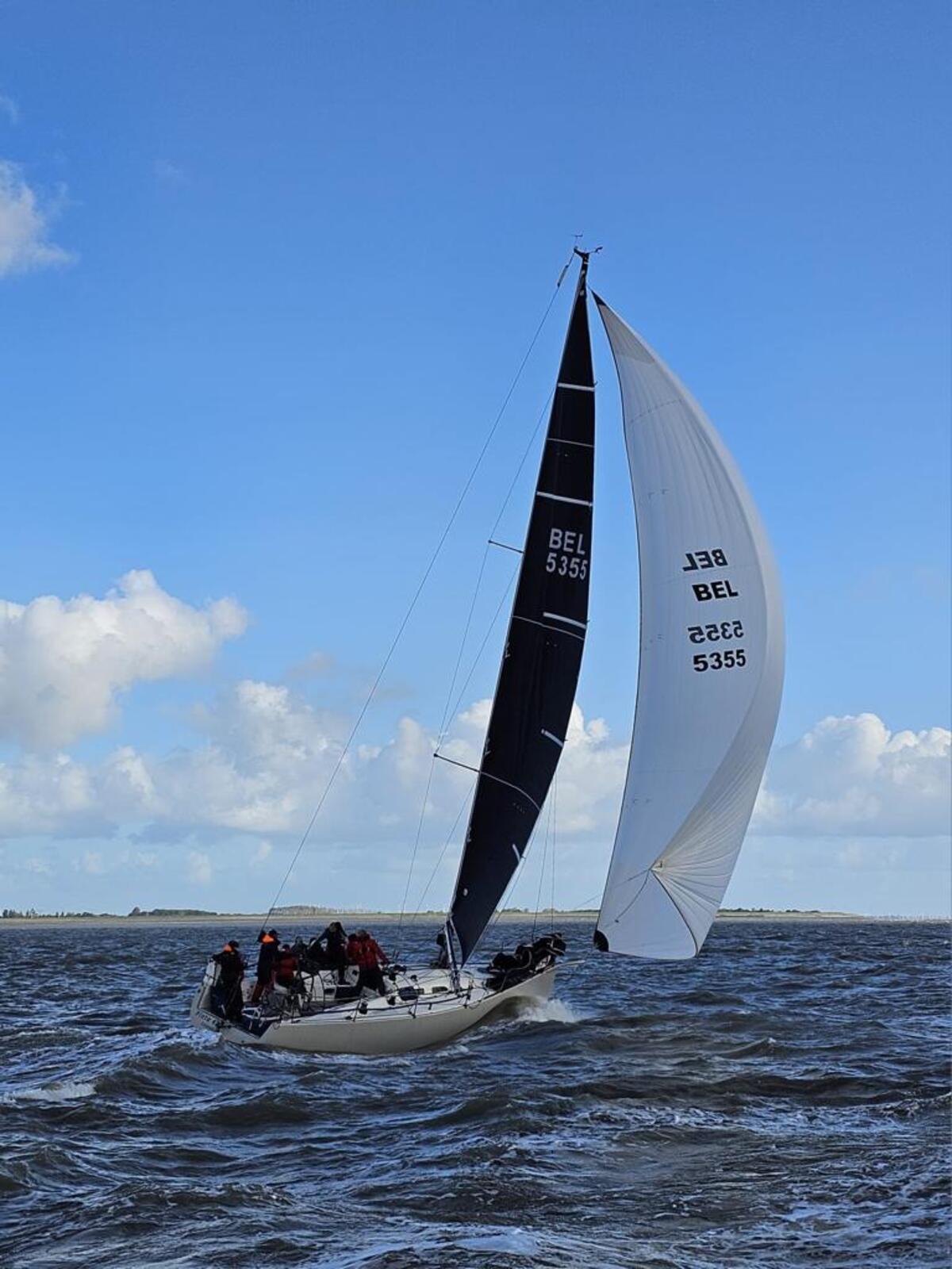 Rodman 42 — foto 30 van 33