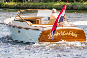 LongIsland 29 Runabout — foto 13 van 30