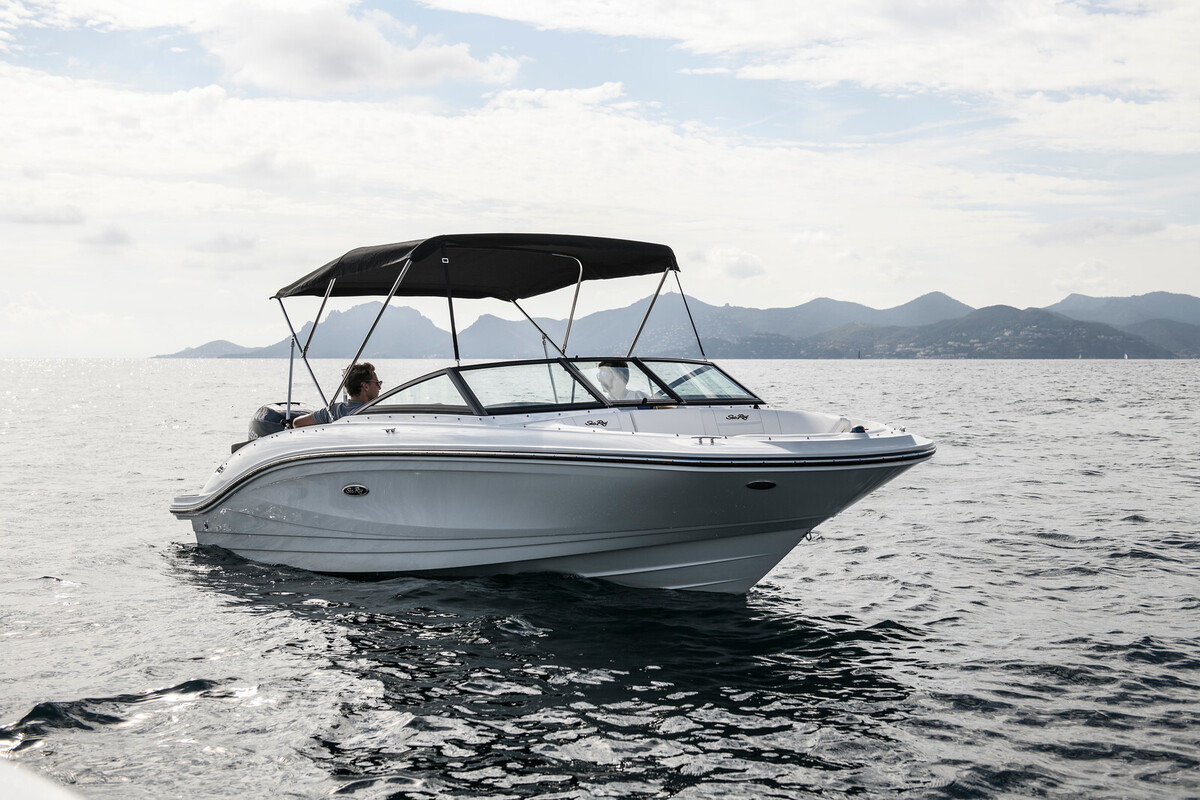 Sea Ray SPX 210 Outboard — foto 6 van 19