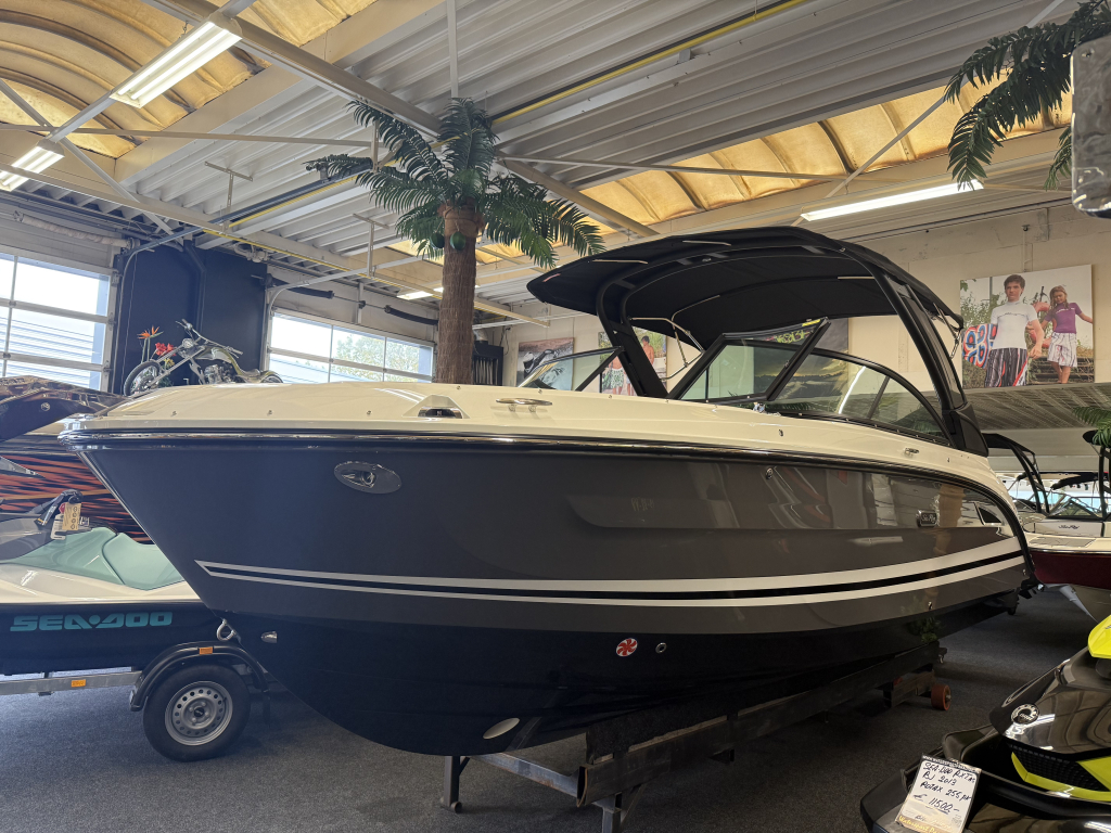 Sea Ray SDX 250 Outboard — foto 2 van 31