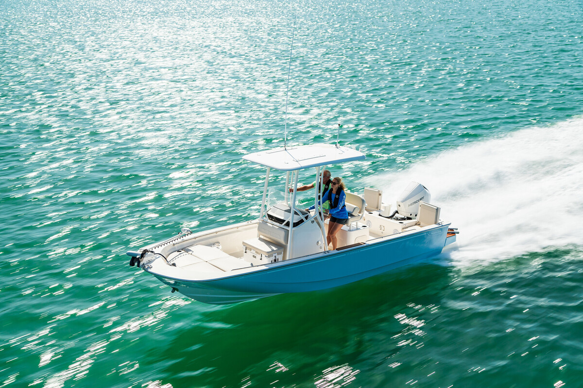 Boston Whaler 210 Montauk — foto 3 van 22