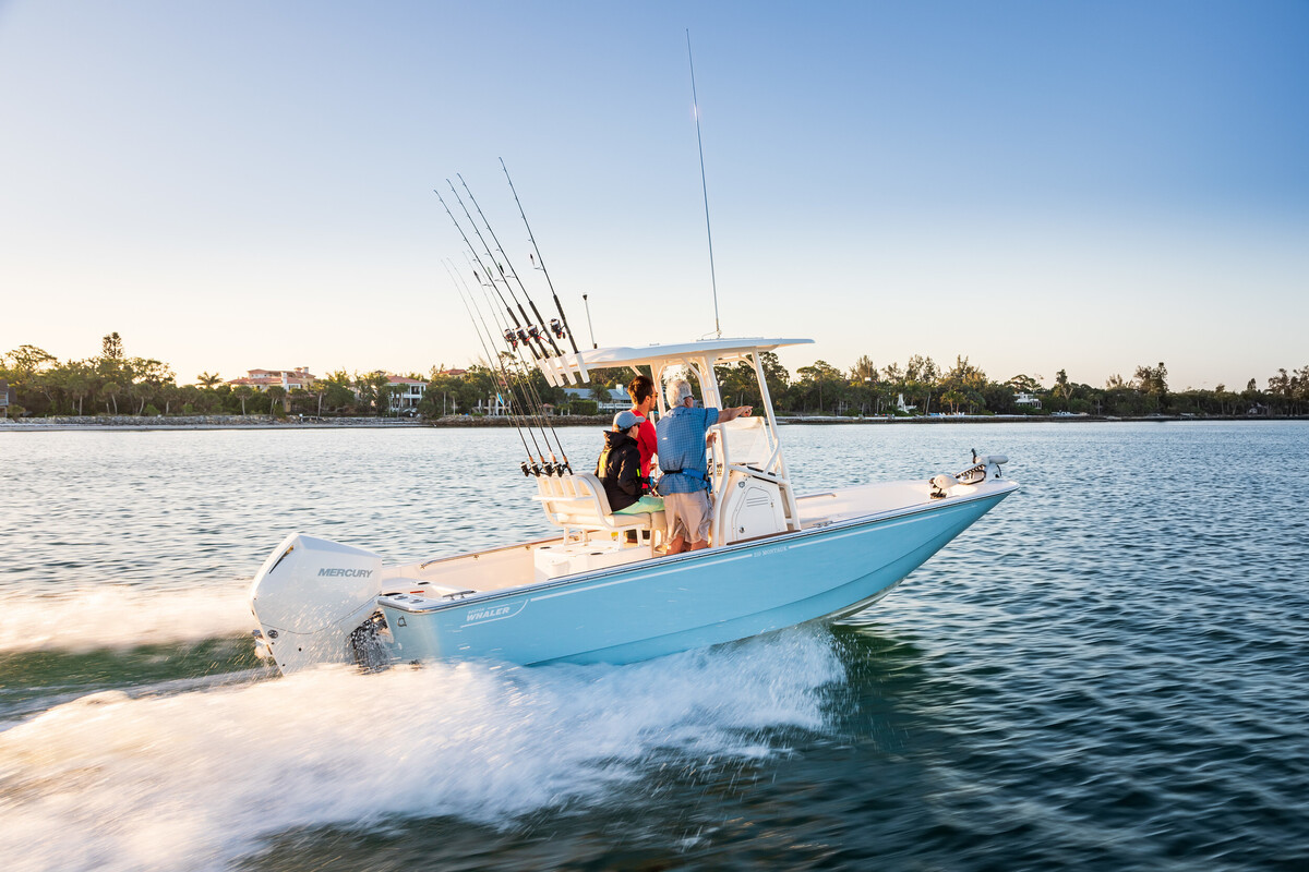 Boston Whaler 210 Montauk — foto 4 van 22