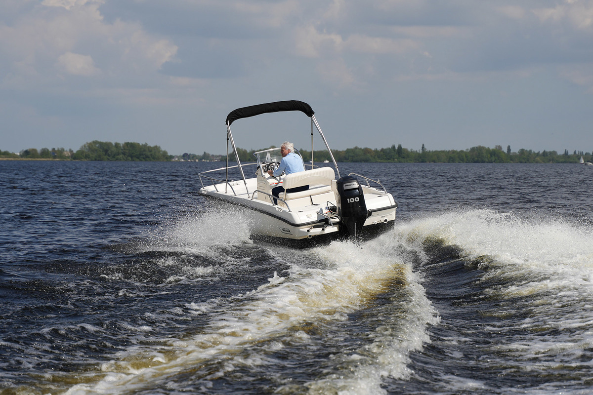 Boston Whaler 170 Dauntless — foto 4 van 36