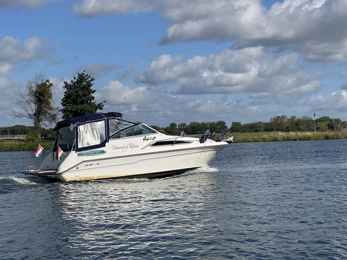 Sea Ray 220DA — foto 21 van 23